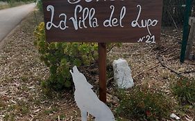 Villa del Lupo